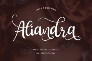 Aliandra Font: A Marketer’s Secret for Campaigns That Stop the Scroll