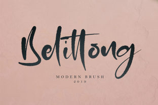 Belittong: A Handwritten Script Typeface for Web and Digital Design