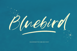 Bluebird Typeface for Editorial Design That Readers Remember