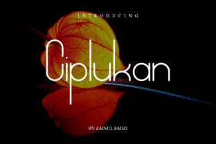 Ciplukan: A Clean Sans Serif Font for Editorial Design and Publishing