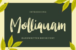 Molliquam: A Handwritten Font That Brings Warmth to Brand Design