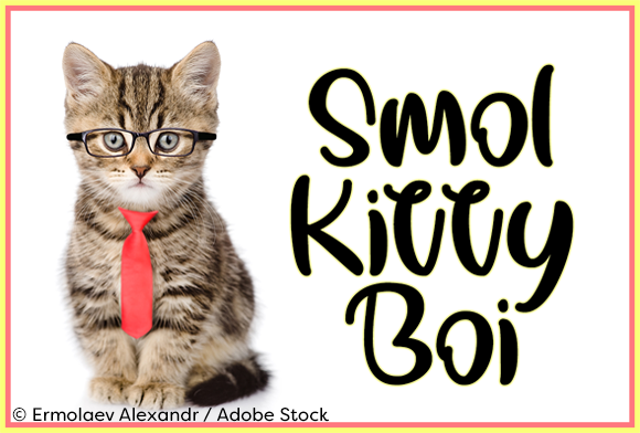 Smol Kitty Boi Brings Playful Charm to Handmade Product Labels